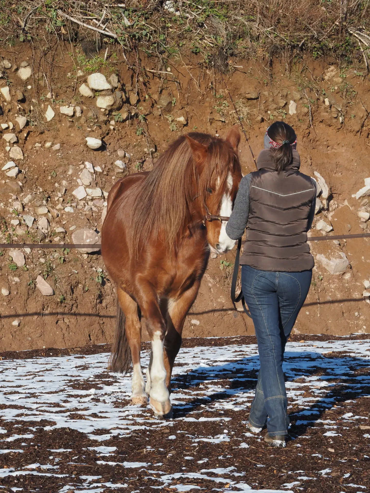 Equitact, Équitation Consciente et Respectueuse