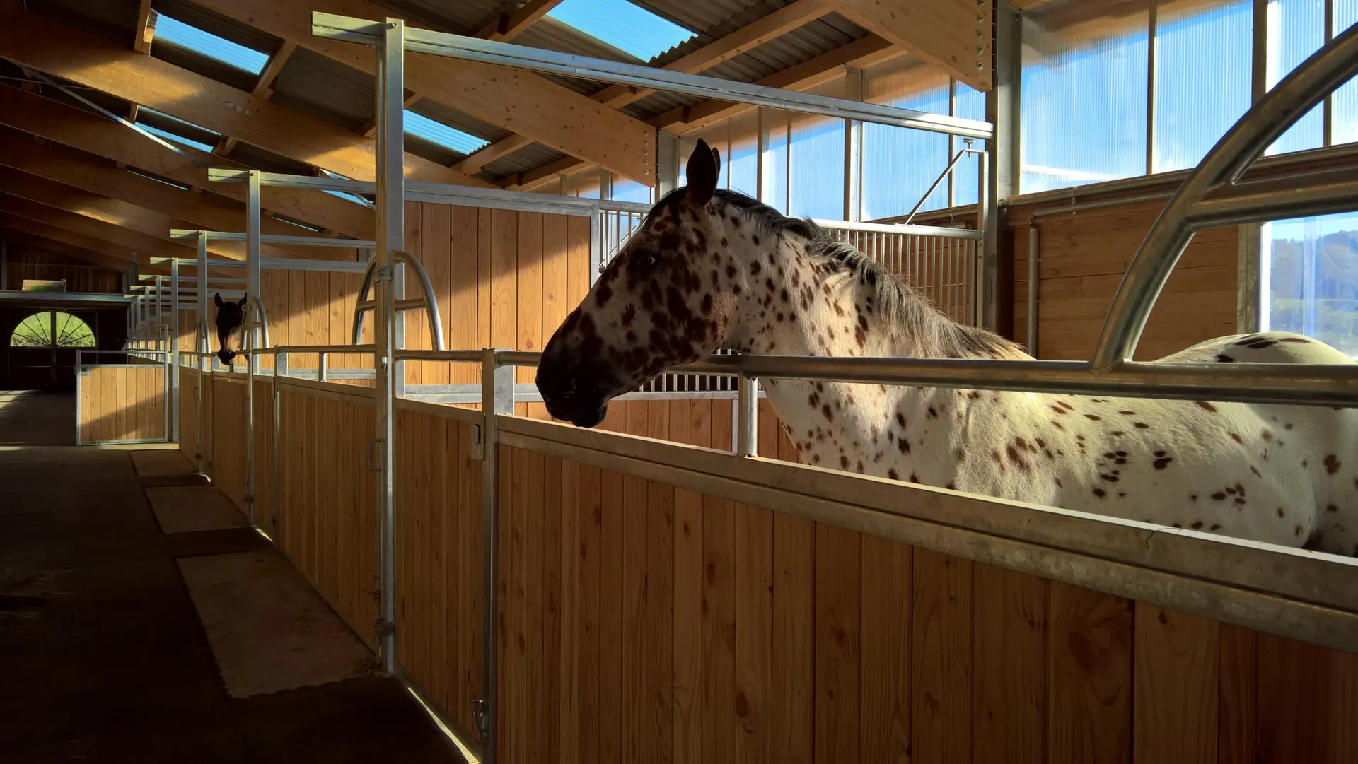 Equitact, Équitation Consciente et Respectueuse