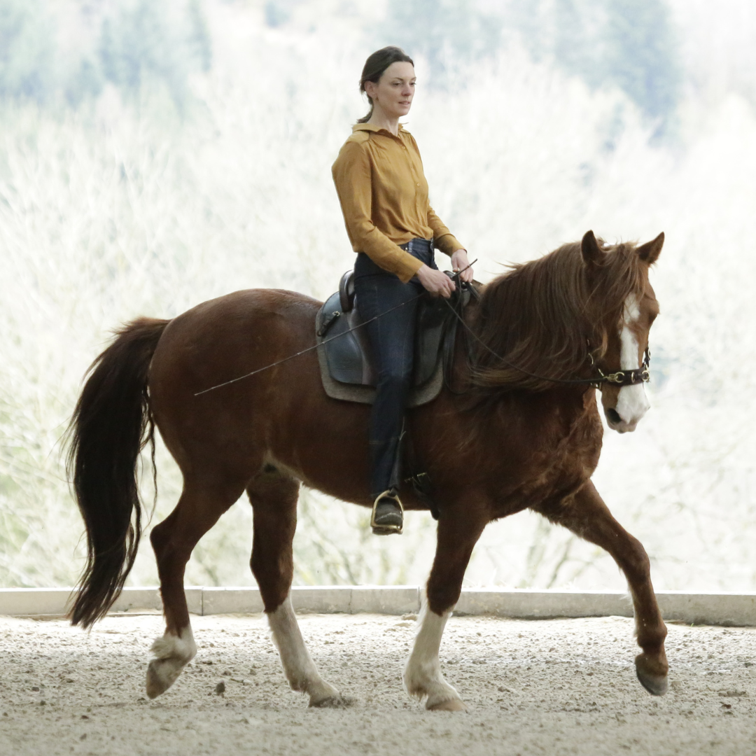 Equitact, Équitation Consciente et Respectueuse