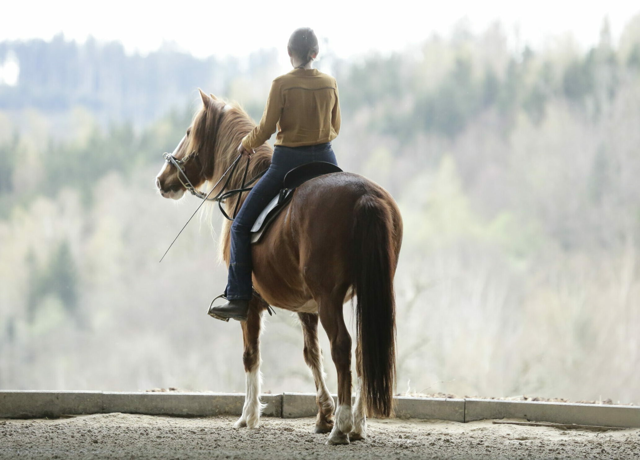Equitact, Équitation Consciente et Respectueuse