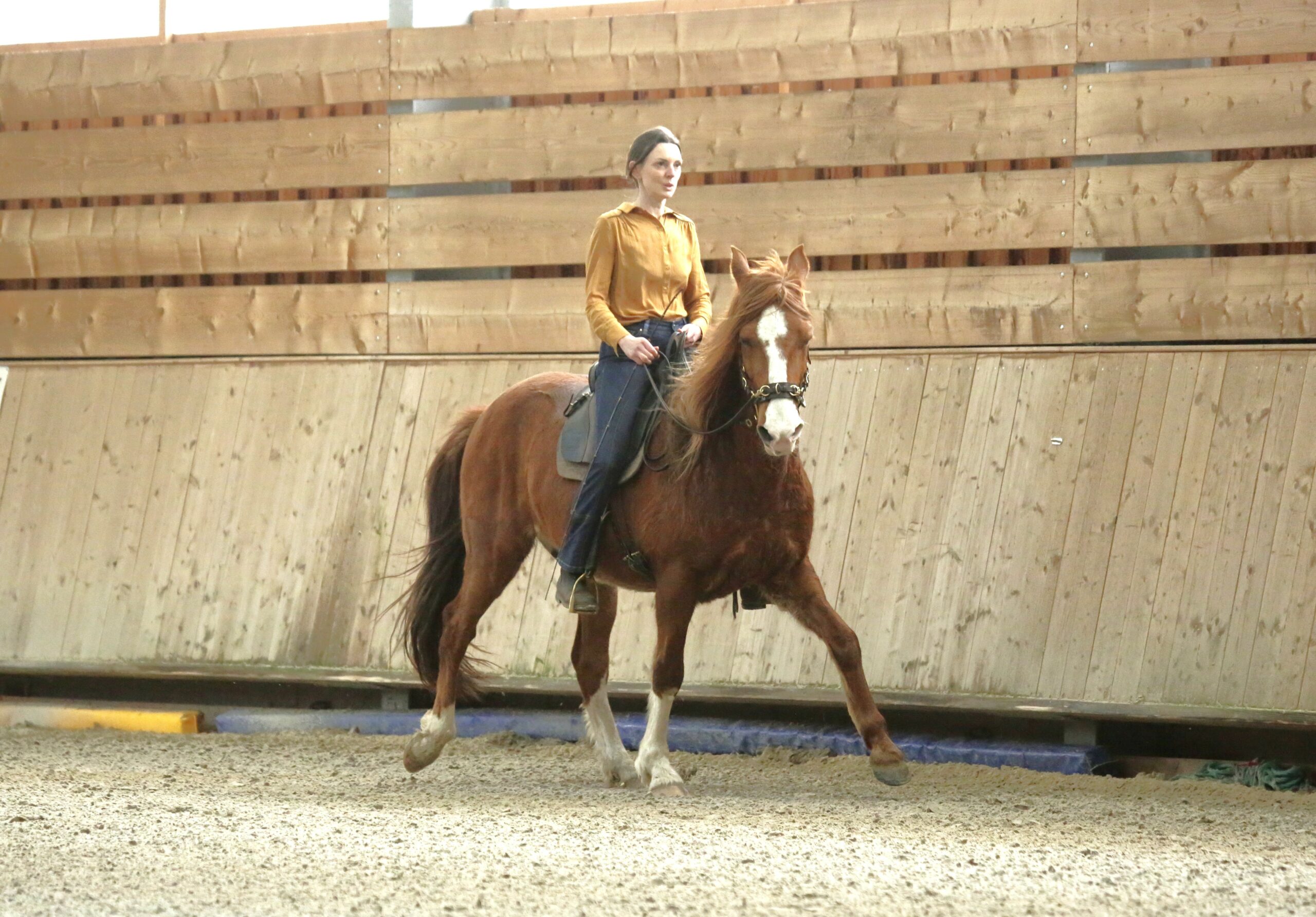 Equitact, Équitation Consciente et Respectueuse