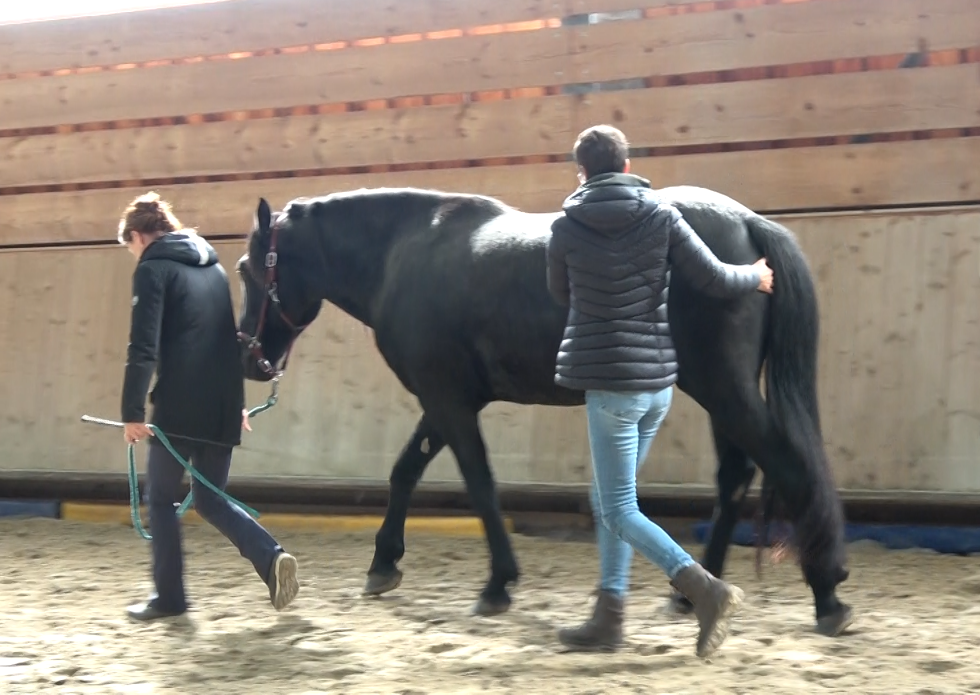 ostéopathie en mouvement