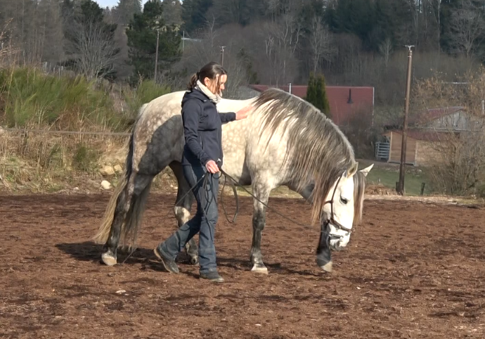 relâcher tensions cheval