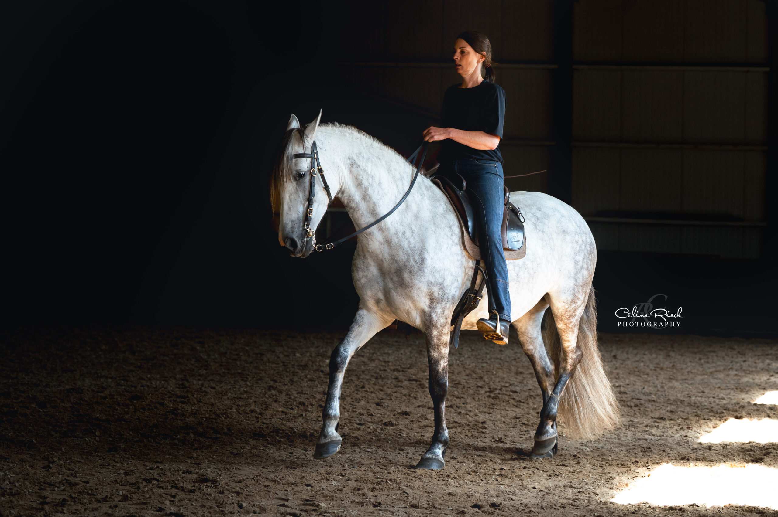 cheval trot légèreté