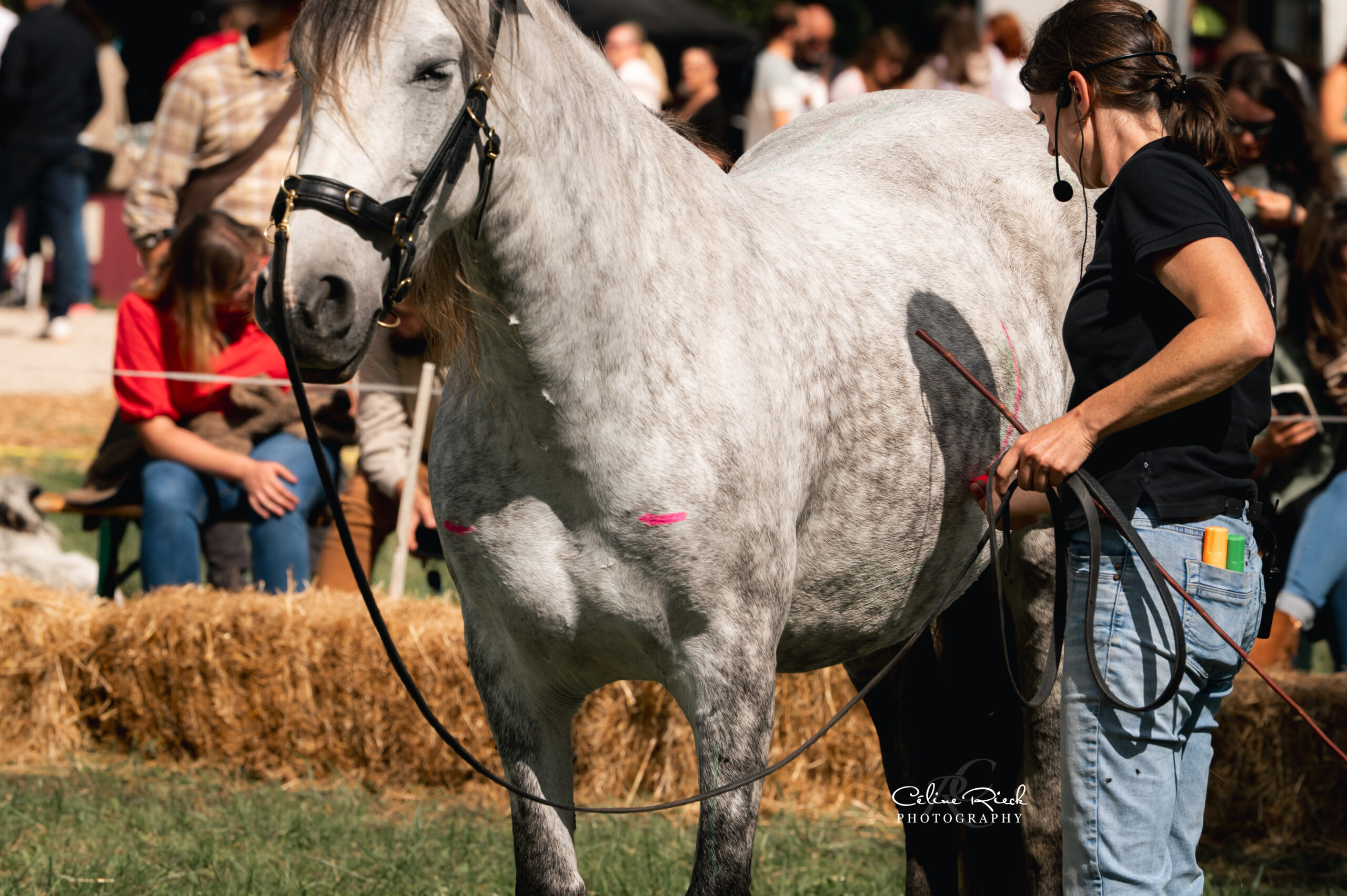 anatomie biomécanique appliquée
