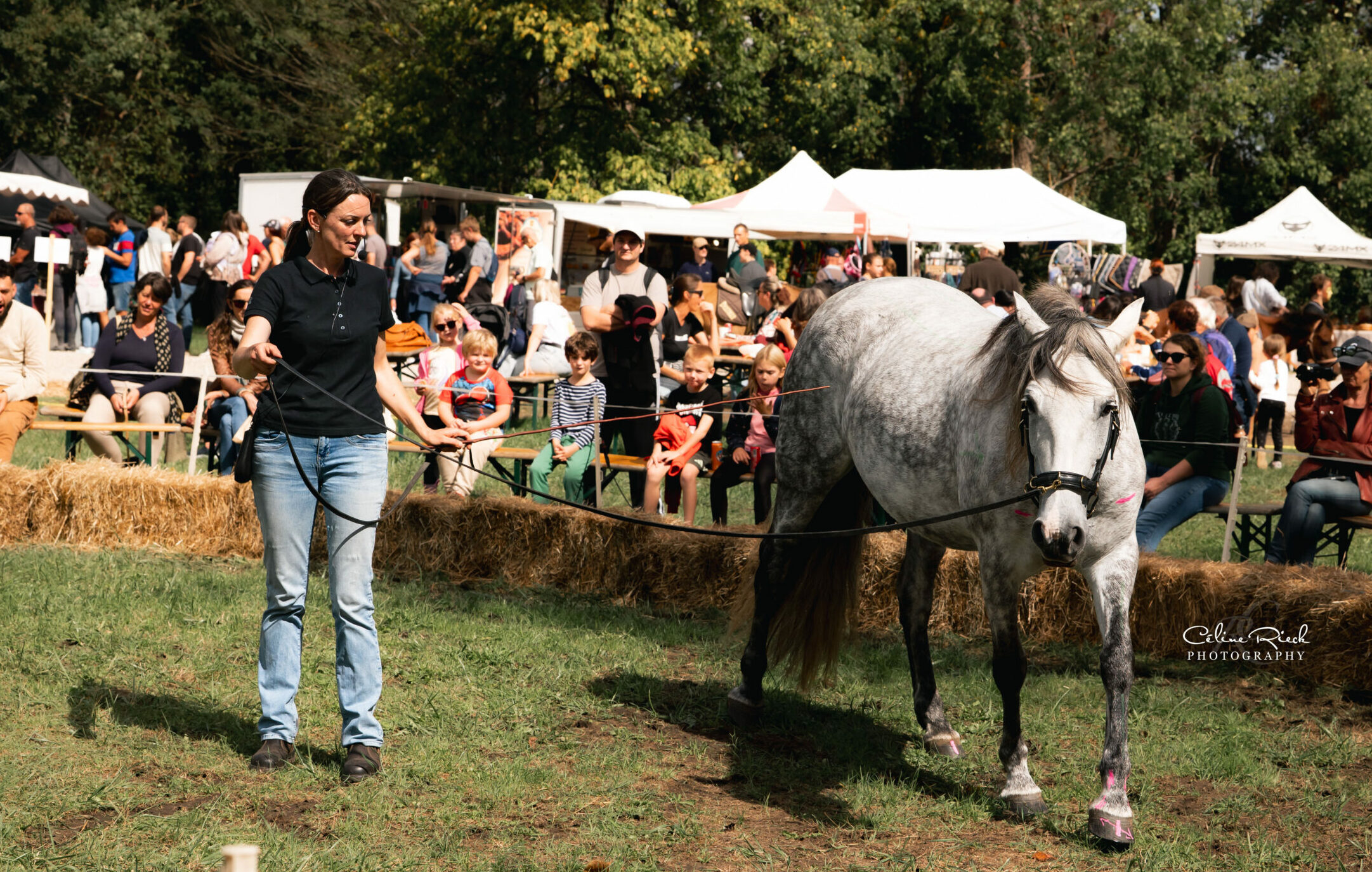 foire équestre présentation cheval équilibre