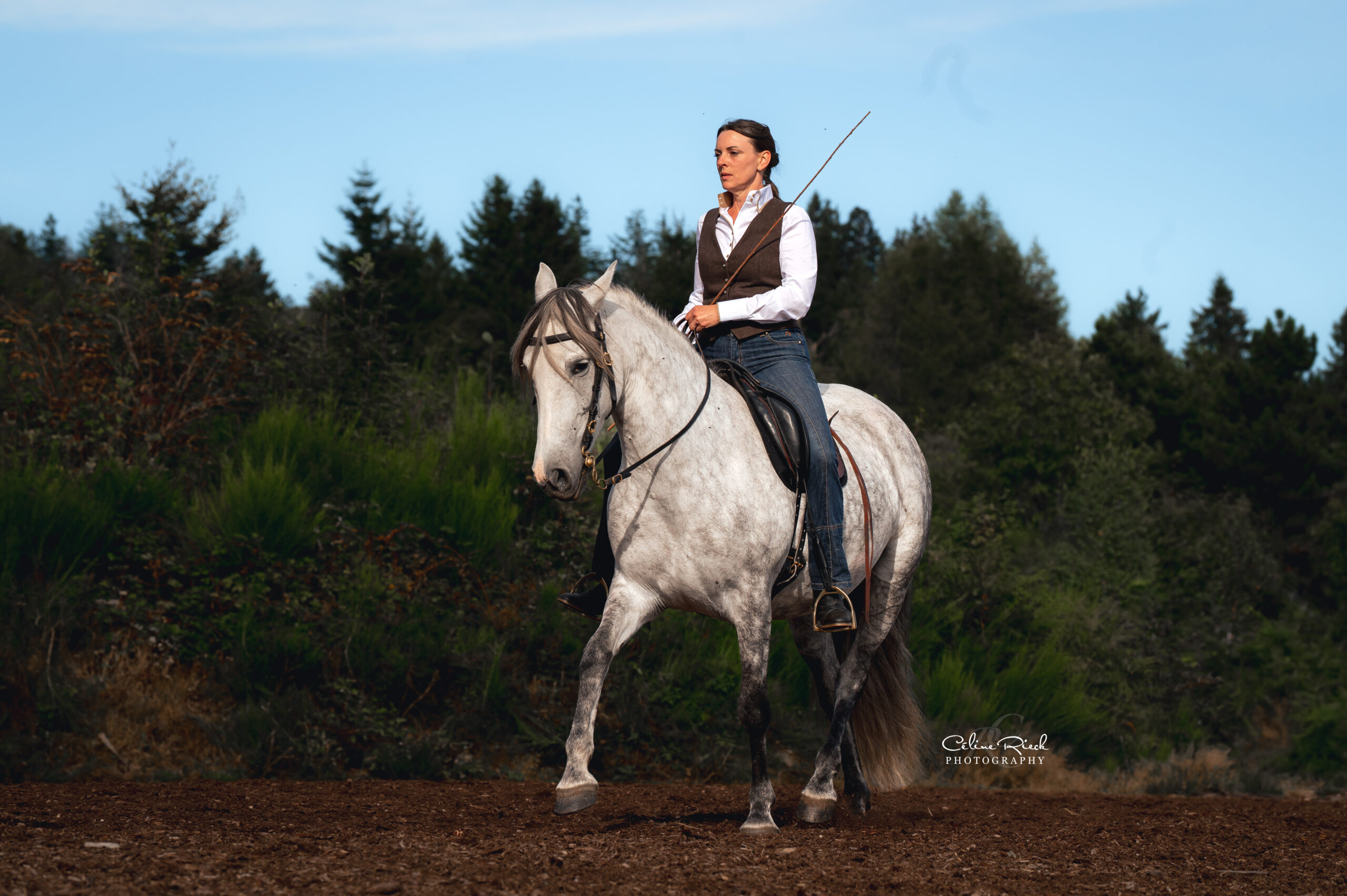 aides légères en selle