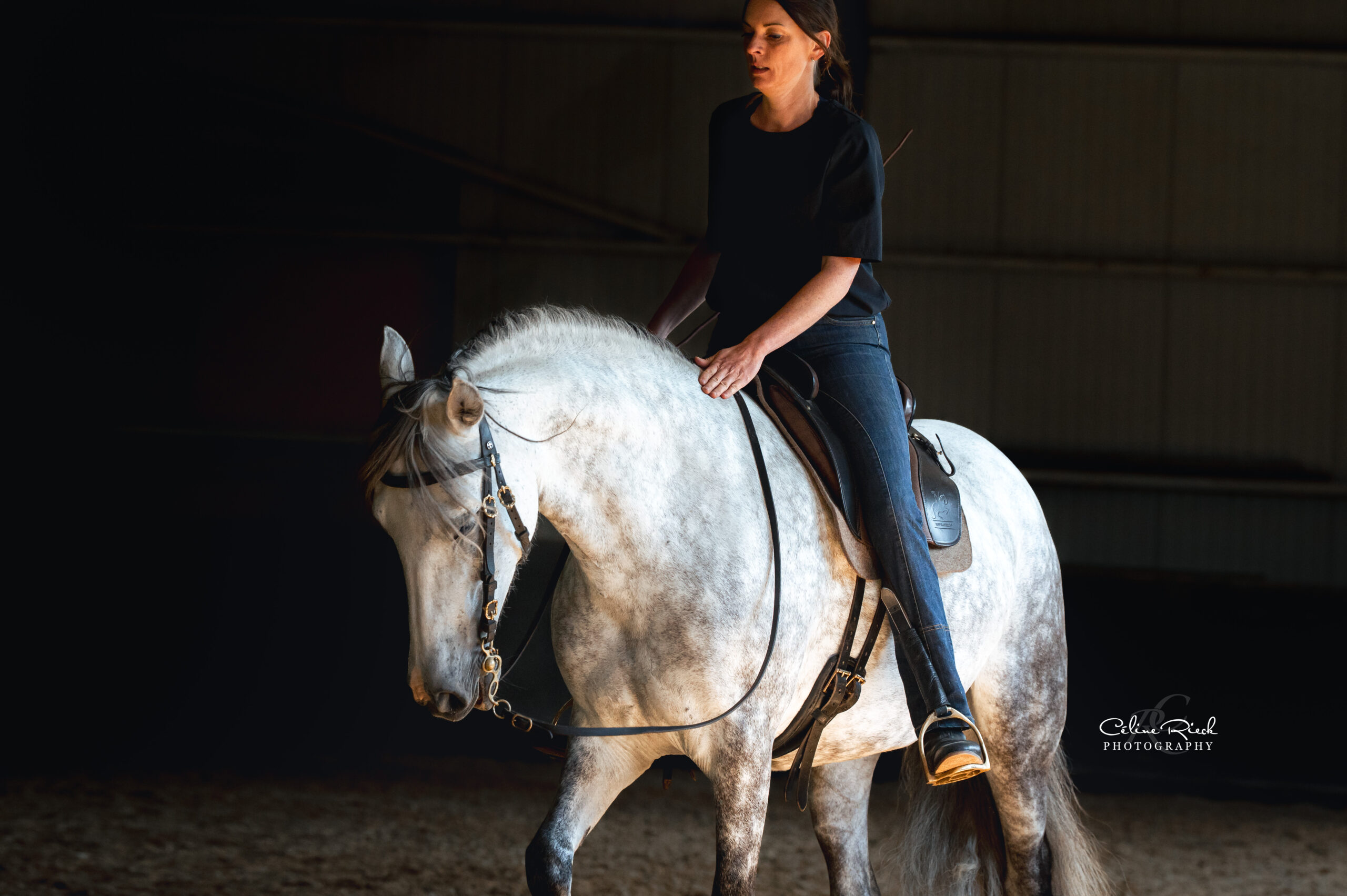 cheval relaxation