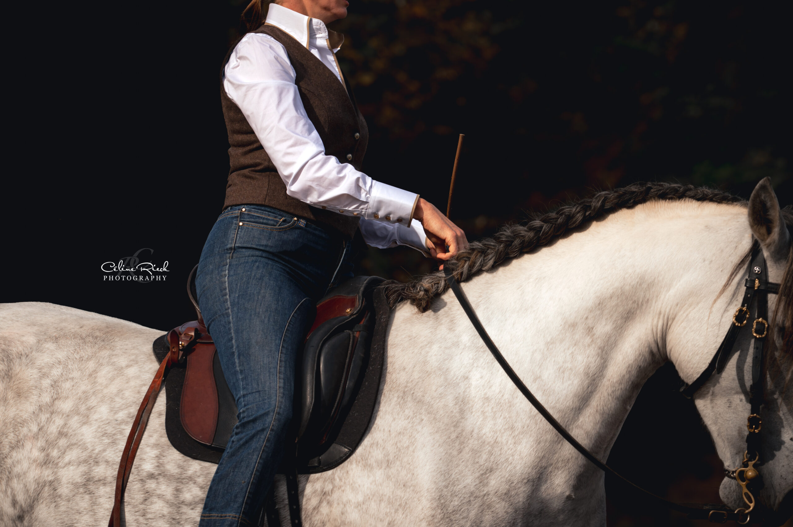 « Une aide est une aide si elle aide le cheval »