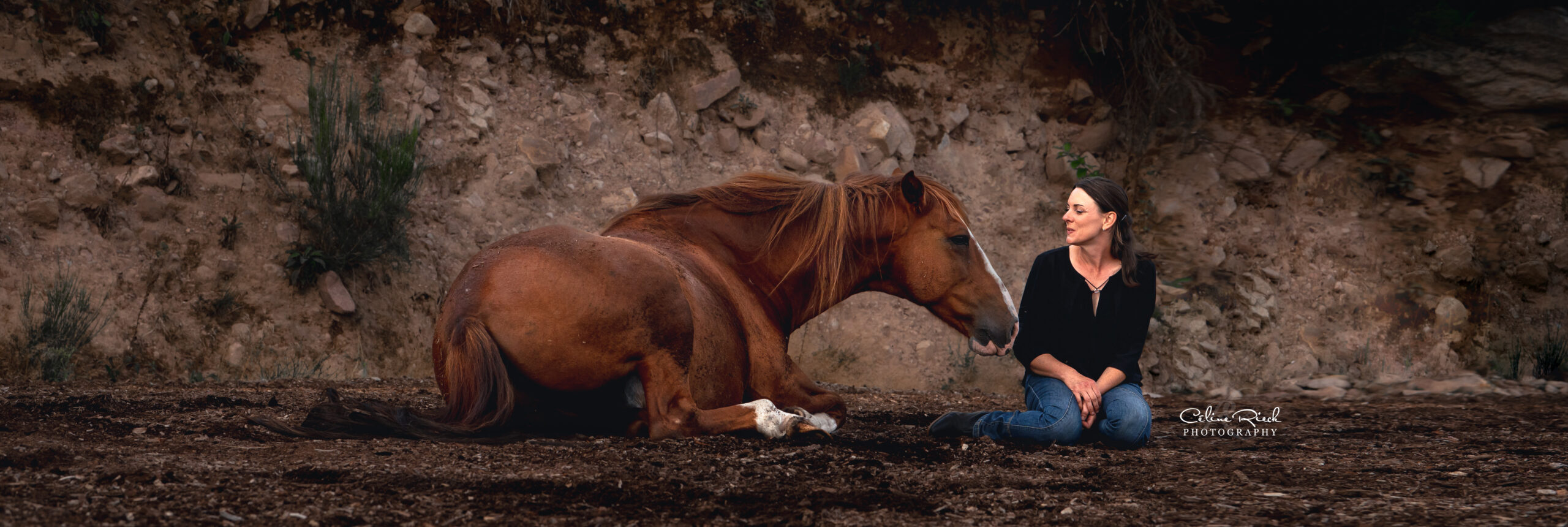 cheval couché