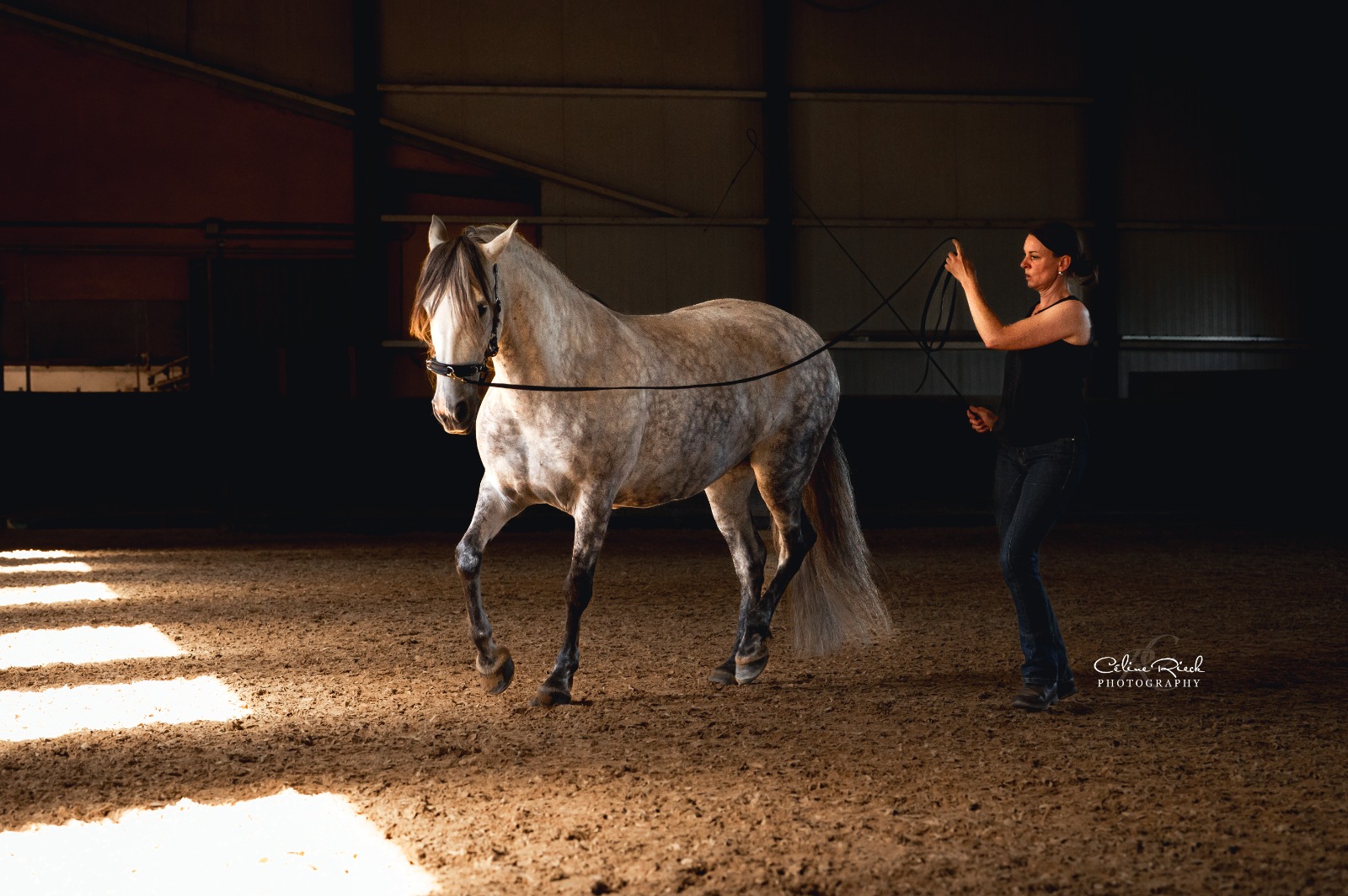 Equitact Véronique Weber
